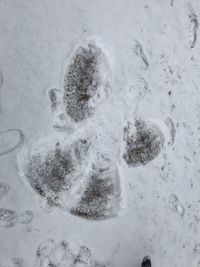 High angle view of footprints on snow covered land