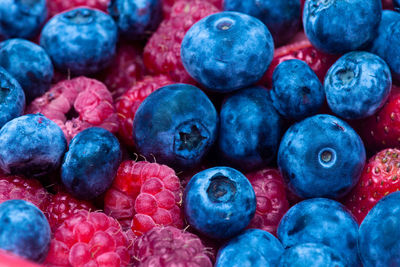 Full frame shot of blueberries