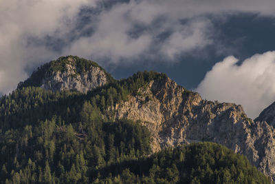 Low angle view of trees and mountains against sky