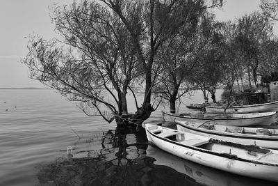 Boats moored by trees at lake