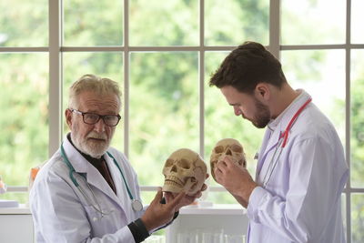 Male doctors examining human skulls in hospital
