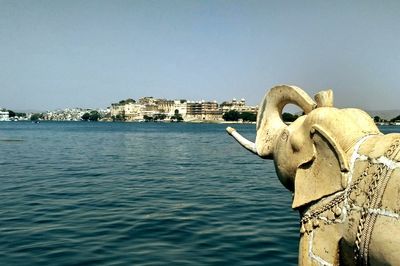 Horse in water against clear sky