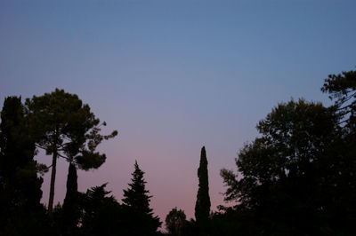 Low angle view of silhouette trees against clear sky