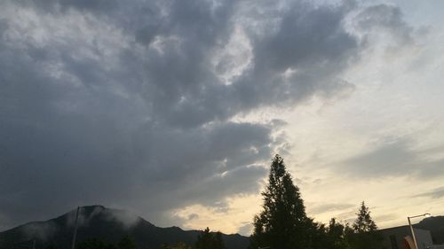 Low angle view of silhouette trees against sky