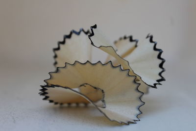 Close-up of pencil shavings on table