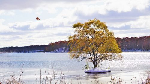 Scenic view of lake against sky during winter