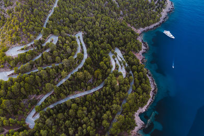 High angle view of plants by sea