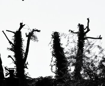 Low angle view of silhouette tree against clear sky