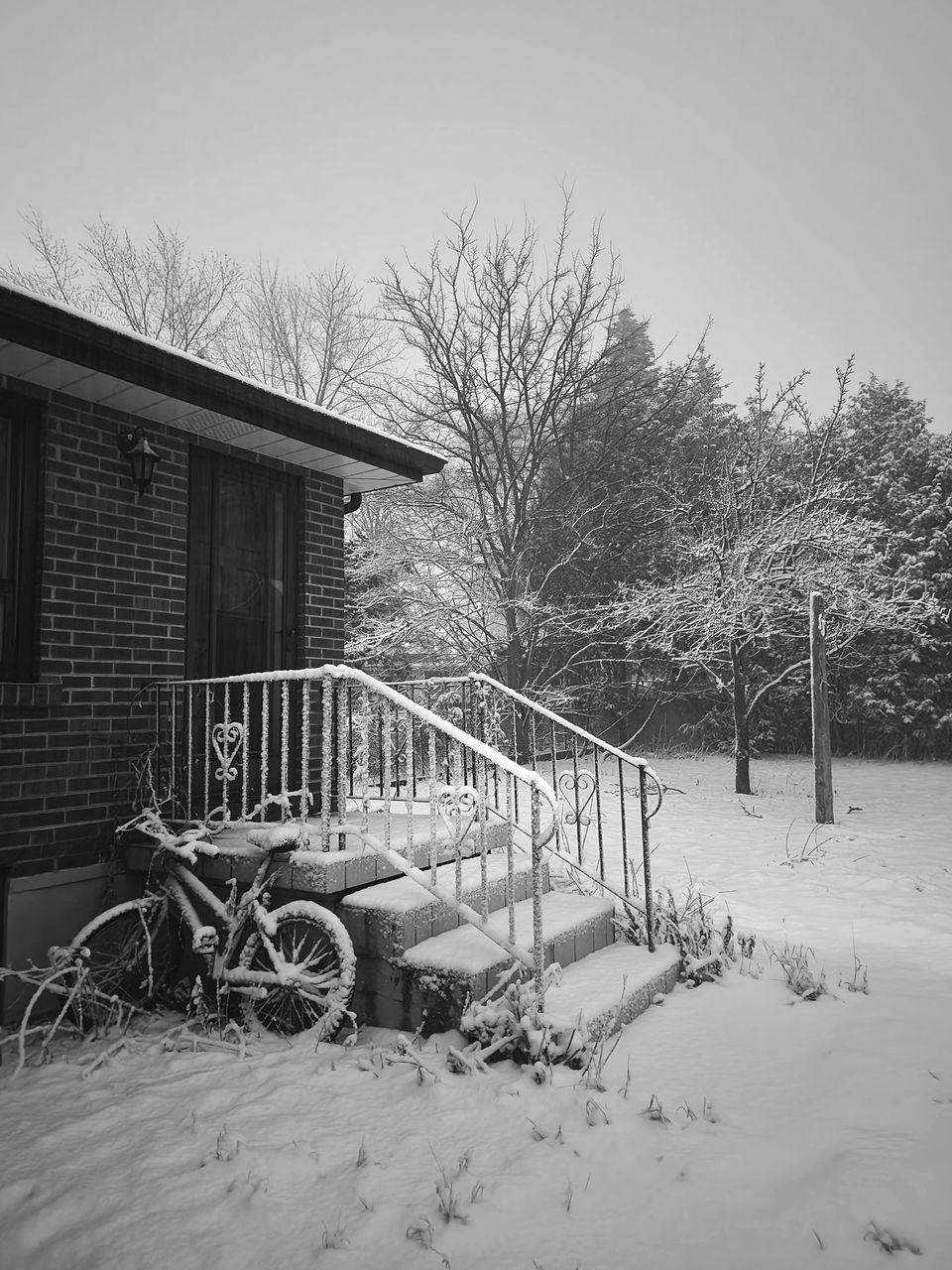 snow, winter, architecture, tree, built structure, nature, bicycle, building exterior, plant, cold temperature, white, no people, monochrome, house, black and white, wheel, bare tree, building, sky, day, monochrome photography, outdoors, home, transportation, vehicle, land vehicle, tire