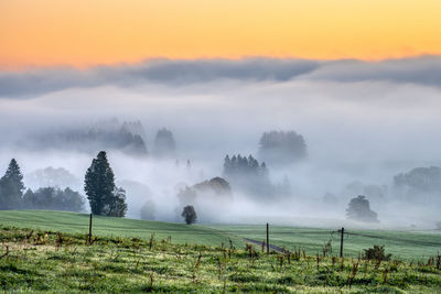 A foggy landscape before sunrise seen in bavaria, germany