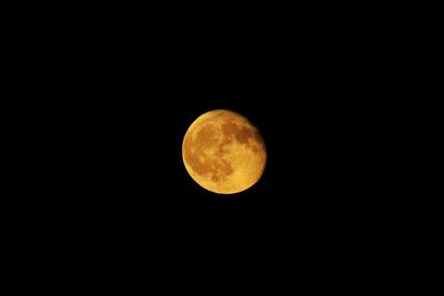 Low angle view of moon in sky