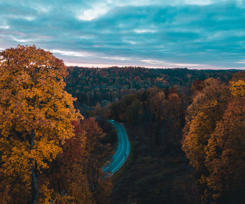 Scenic view of autumn trees against sky