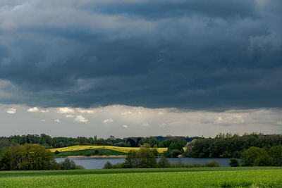 Meadow, lake and rapeseed blossom field