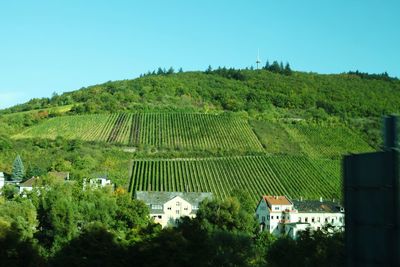 Scenic view of trees and buildings against clear sky