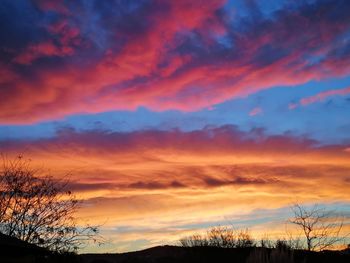 Silhouette trees against sky during sunset