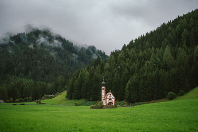 Scenic view of trees on field against sky