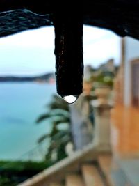 Close-up of water drops on window