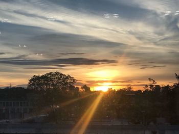 Silhouette trees against sky during sunset