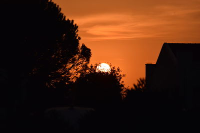 Silhouette trees against orange sky