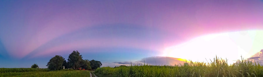 Panoramic view of trees on field against sky at sunset