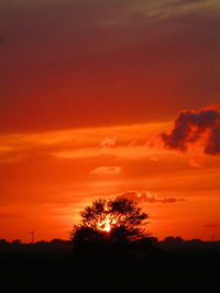 Silhouette trees on landscape against orange sky