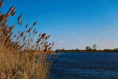 Scenic view of sea against blue sky