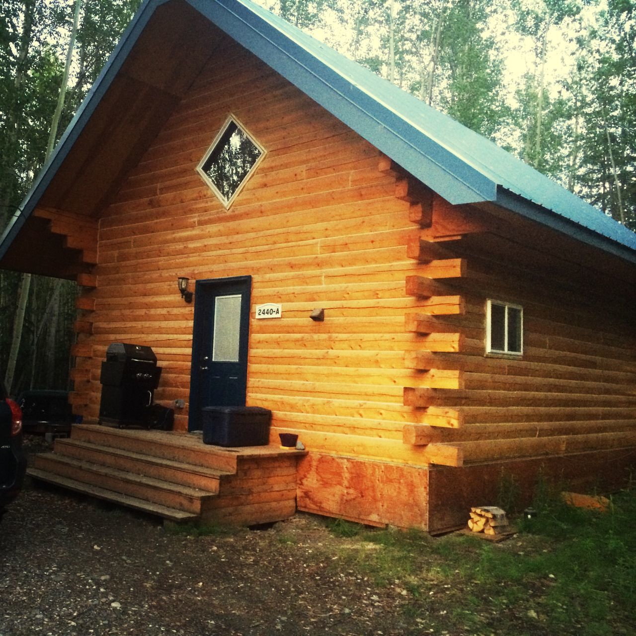 building exterior, built structure, architecture, house, tree, residential structure, wood - material, residential building, window, day, outdoors, steps, sunlight, no people, building, roof, low angle view, sky, wooden, wood