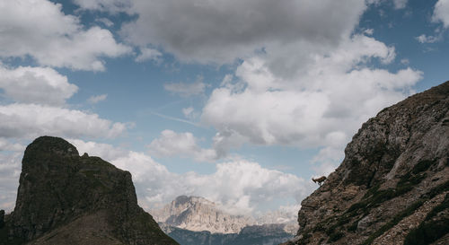 Low angle view of mountain against sky with a goat