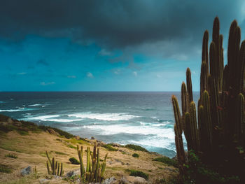 Wild coastline and horizon.