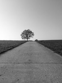 Road amidst trees on field against clear sky