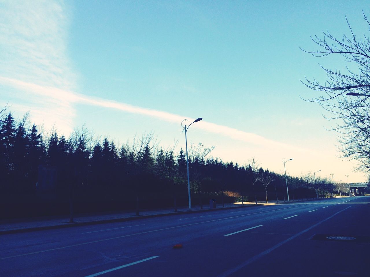 transportation, road, sky, road marking, street light, blue, tree, street, car, the way forward, silhouette, mode of transport, clear sky, cloud - sky, copy space, outdoors, cloud, land vehicle, no people, dusk