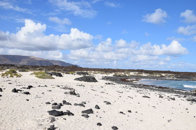 Scenic view of beach against sky