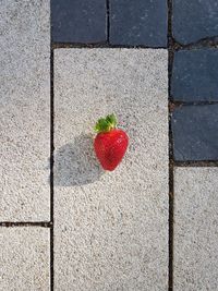 High angle view of strawberry