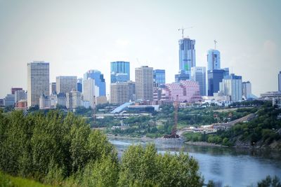 Trees and buildings in city against sky