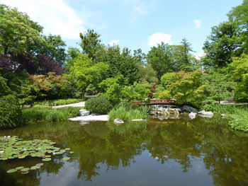 Scenic view of lake and trees against sky