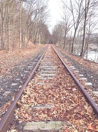 Railroad track amidst trees against sky