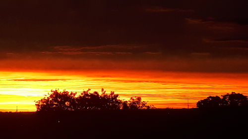 Silhouette trees against dramatic sky during sunset