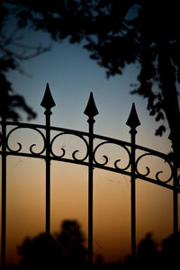 Close-up of silhouette trees against sky