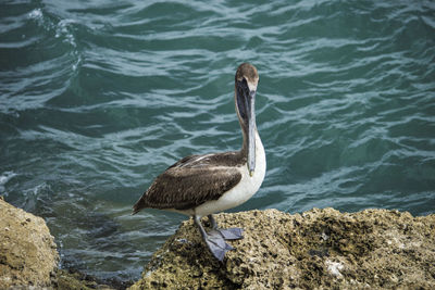 View of water in water