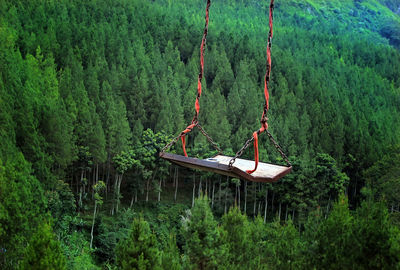 Metal hanging on chain against forest