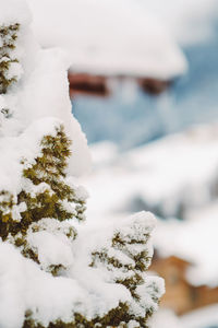Close-up of frozen rock against sky during winter