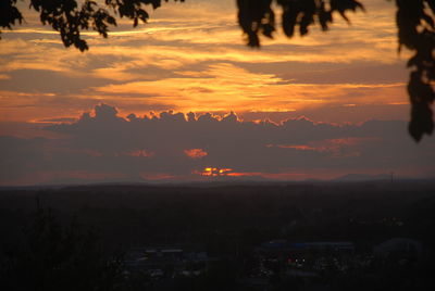 Silhouette of trees at sunset