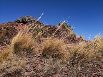 Low angle view of rocks against clear sky