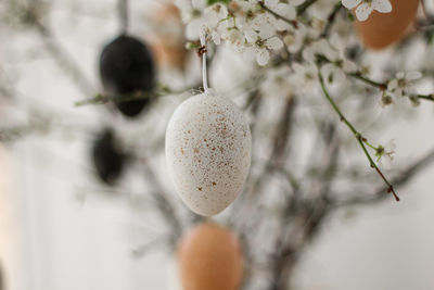 Close-up of christmas decorations