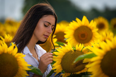 Young woman in the sunflowers field