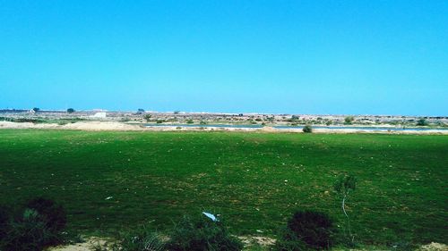 Scenic view of field against clear blue sky