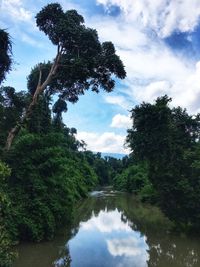 Reflection of trees in lake against sky