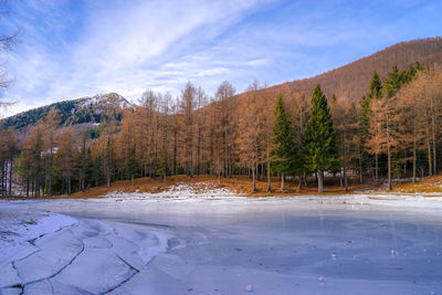 Scenic view of landscape against sky during winter