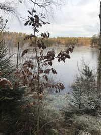 Scenic view of lake against sky