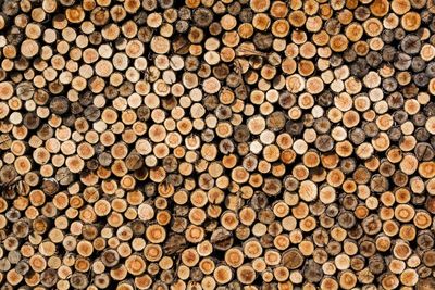 Full frame shot of logs